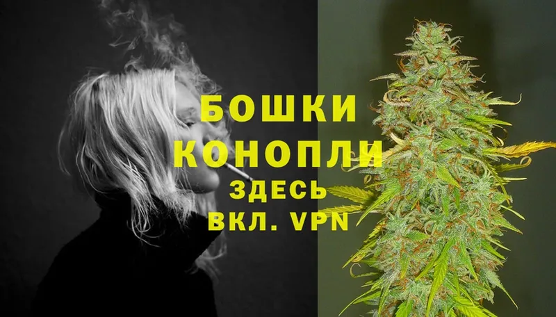 дарнет шоп  Тырныауз  shop какой сайт  Каннабис SATIVA & INDICA 